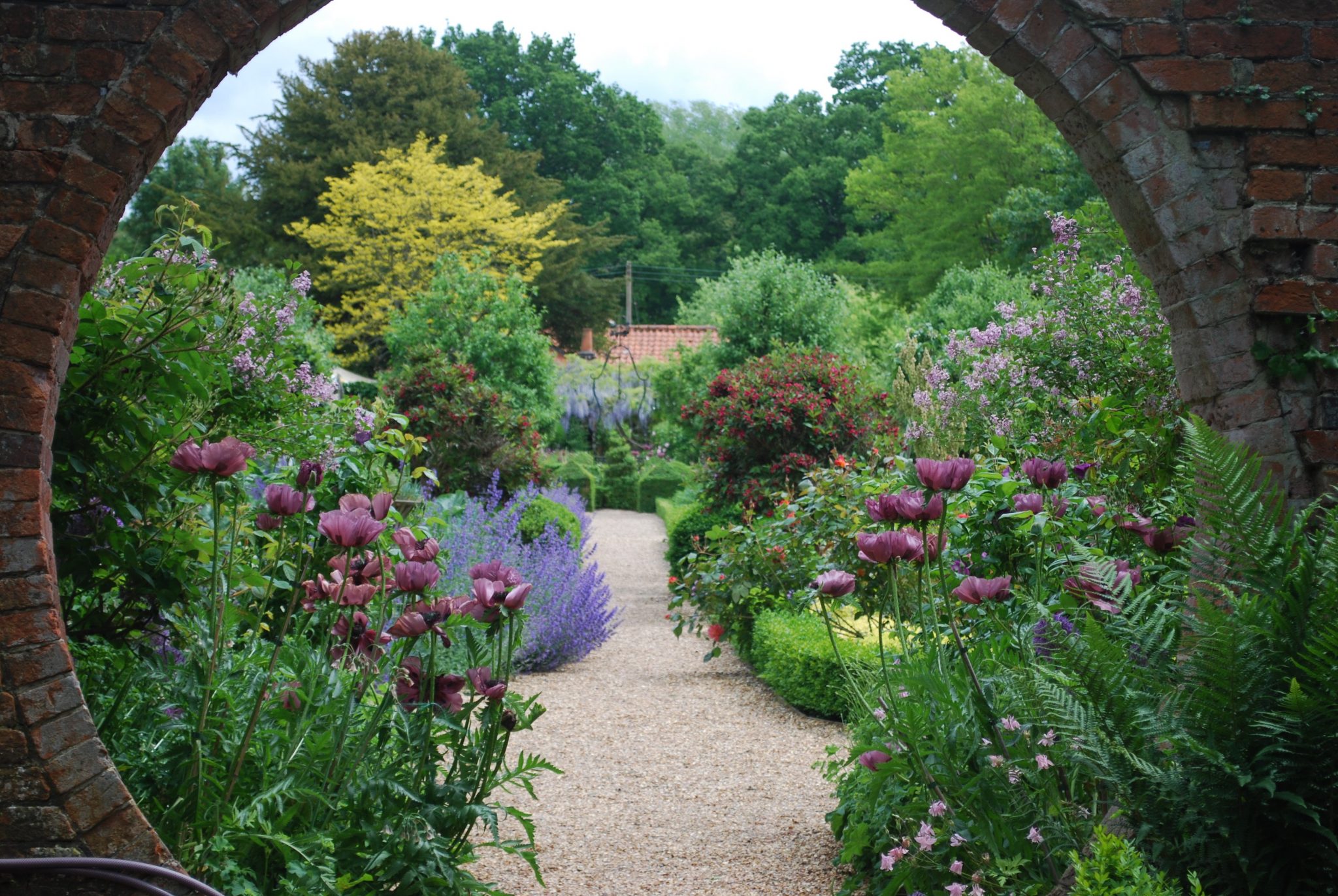 Commercial garden maintenance