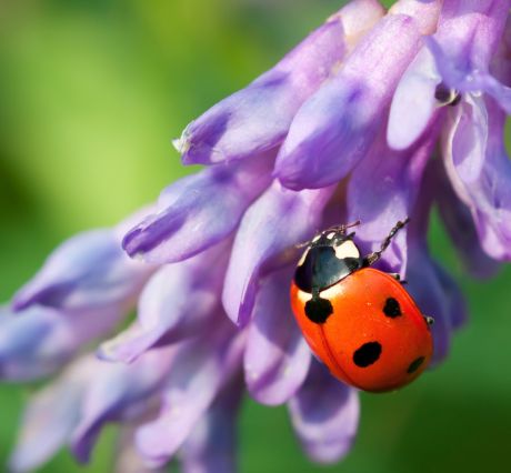 Master Garden Maintenance Sustainability in 5 steps